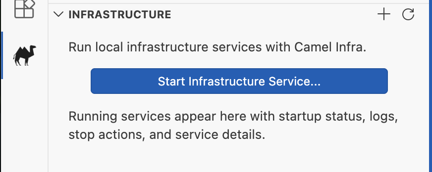 The Infrastructure view in the Kaoto sidebar