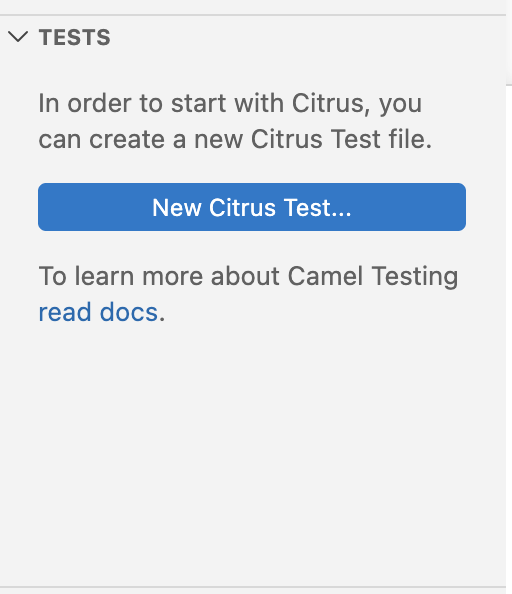 Kaoto VS Code extension showing Citrus test integration