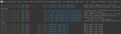 A Screenshot of the launch terminal showing the outputs of the launched Camel Route