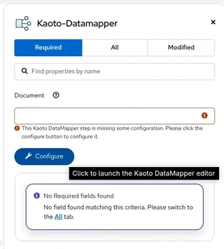 DataMapper Configure button