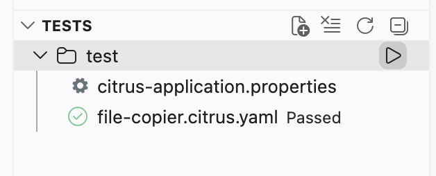 Run Citrus test using the Kaoto play button in the TESTS panel