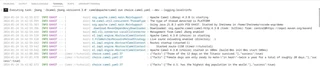 Terminal Output